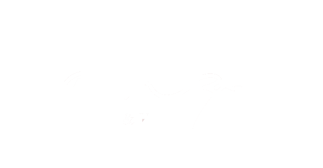 Hanza Collection